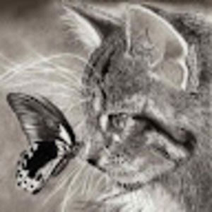 Meet your Posher, Celeste